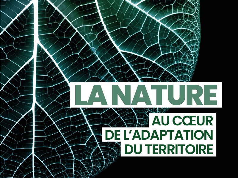 Lancement de la première édition du Salon de la Biodiversité et du Génie écologique